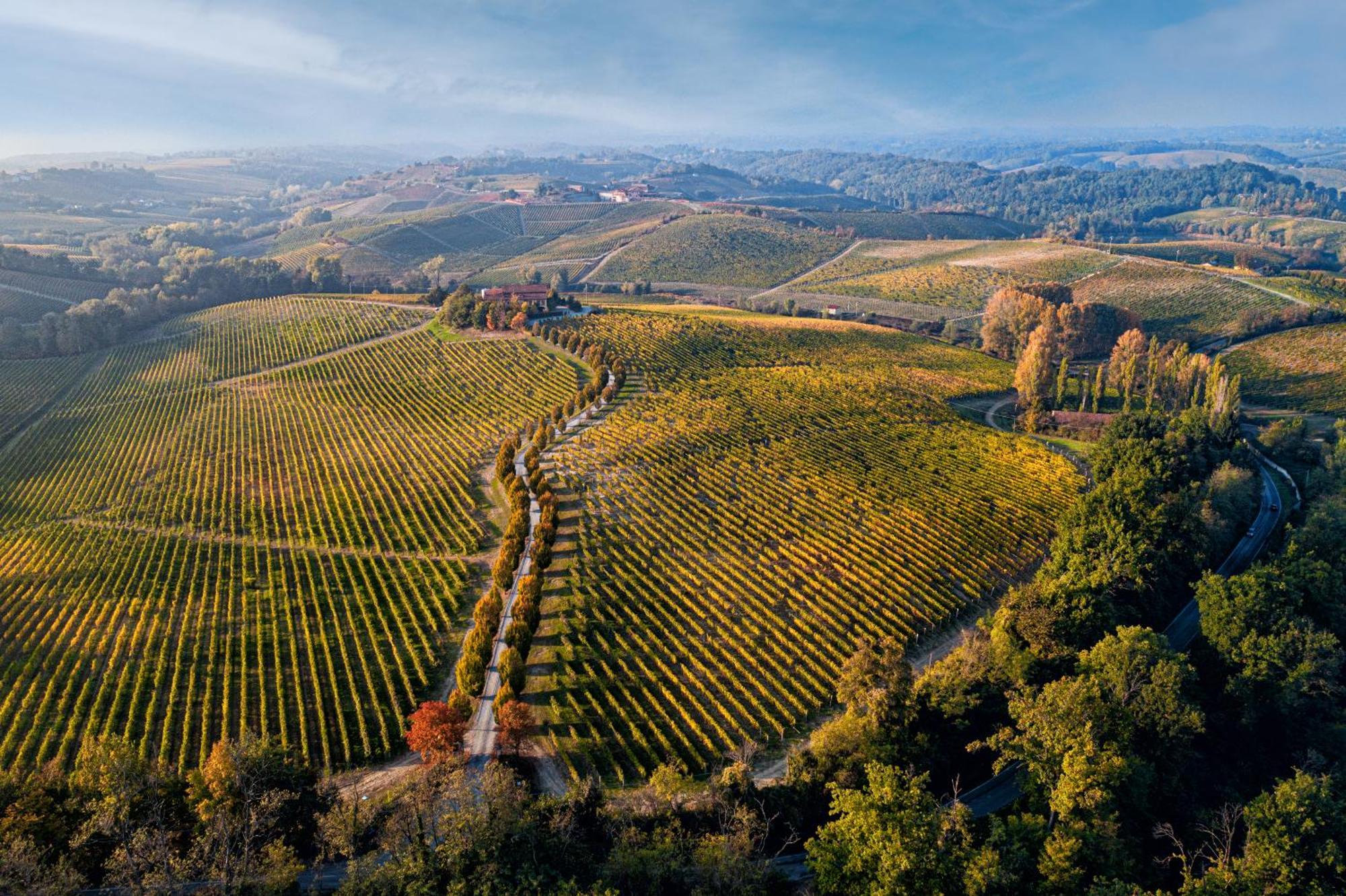 Tenuta La Meirana Gavi Dış mekan fotoğraf