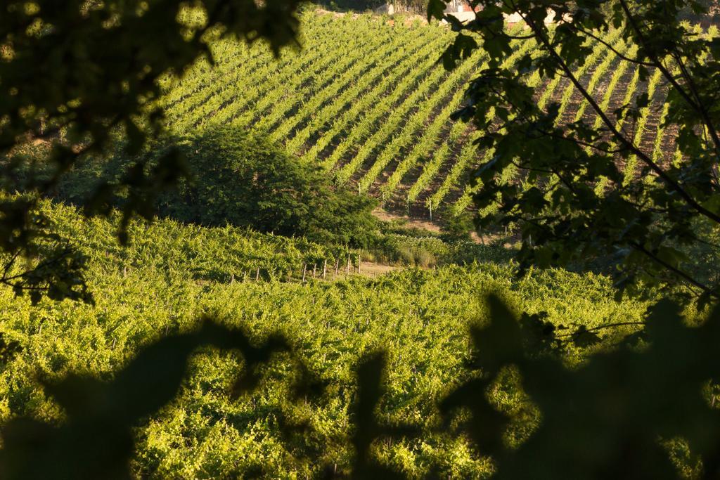 Tenuta La Meirana Gavi Dış mekan fotoğraf