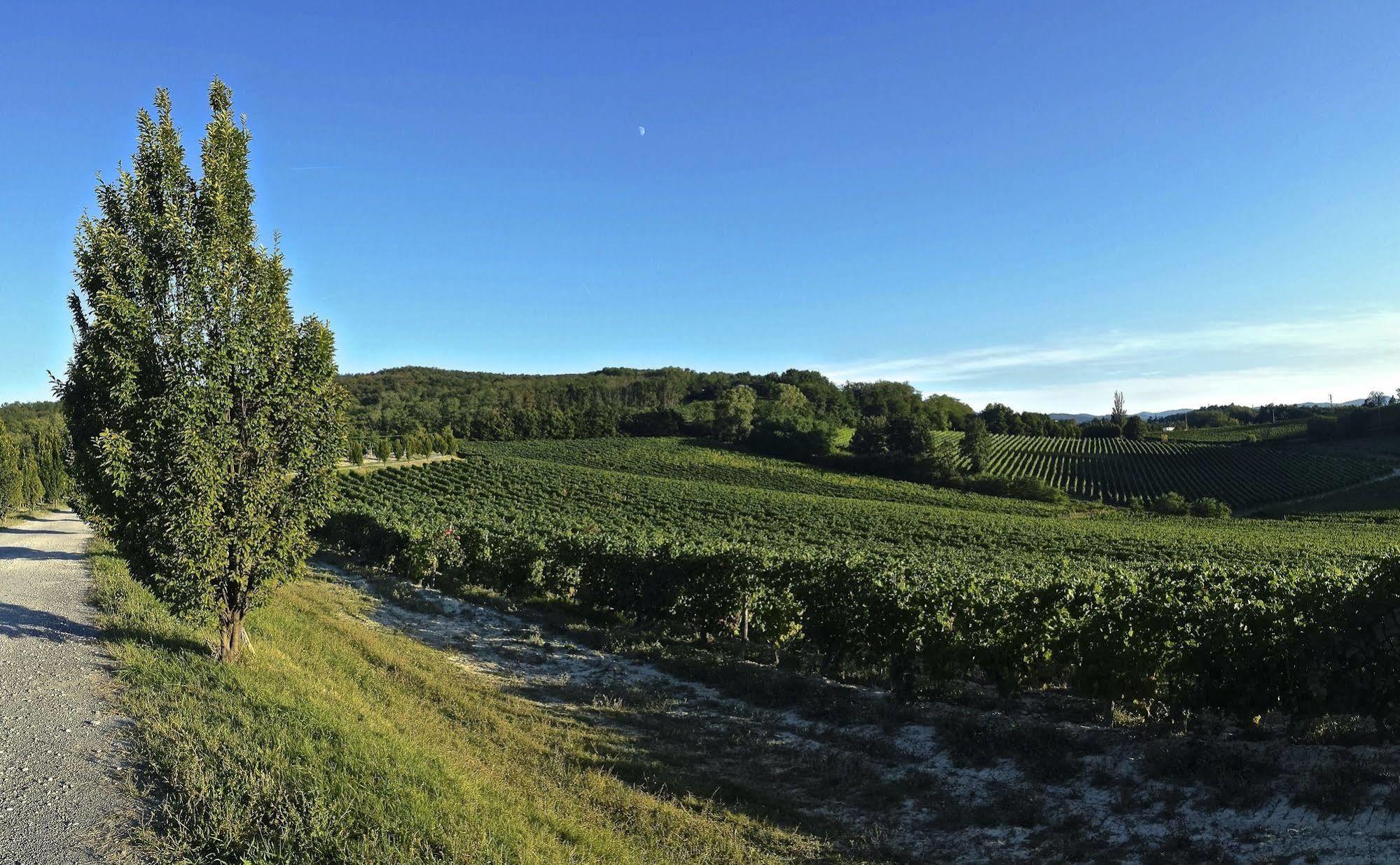 Tenuta La Meirana Gavi Dış mekan fotoğraf